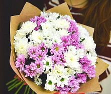 Букет цветов из:  Хризантемы #REPLACE_PRED# Кумёны