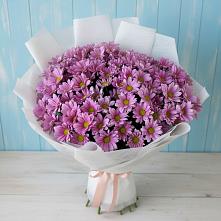 Букет цветов из:  Хризантемы #REPLACE_PRED# Кумёны