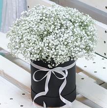Цветочная композиция из Гипсофила в шляпной коробке в Кумёны