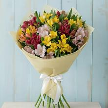 Букет цветов из:  Альстромерии в Кумёны