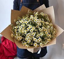 Букет цветов из:  Ромашки #REPLACE_PRED# Кумёны